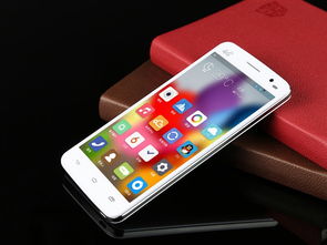 邦華TL1000風(fēng)尚白移動4G手機(jī) 非合約機(jī)實用之選